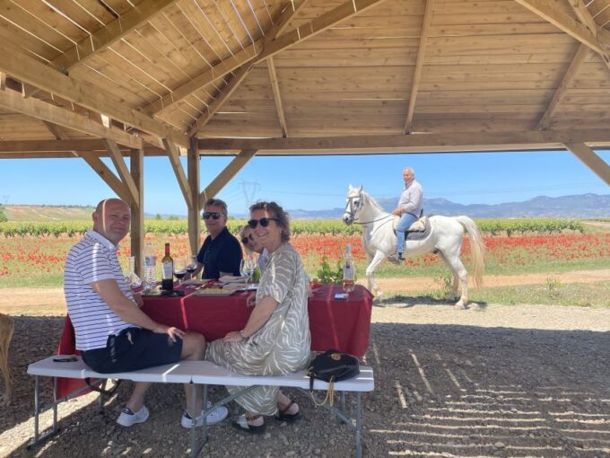 From Bilbao: Two Rioja Wineries Day Trip With Picnic Lunch - Tour Inclusions