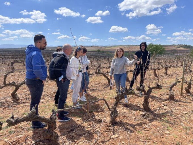 From Bilbao: Two Rioja Wineries Day Trip With Picnic Lunch - Frequently Asked Questions