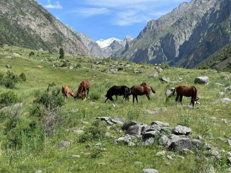From Bishkek : Sokuluk Gorge & Belogorka Waterfall (One Day) - Authentic Experiences and Real Traveler Insights
