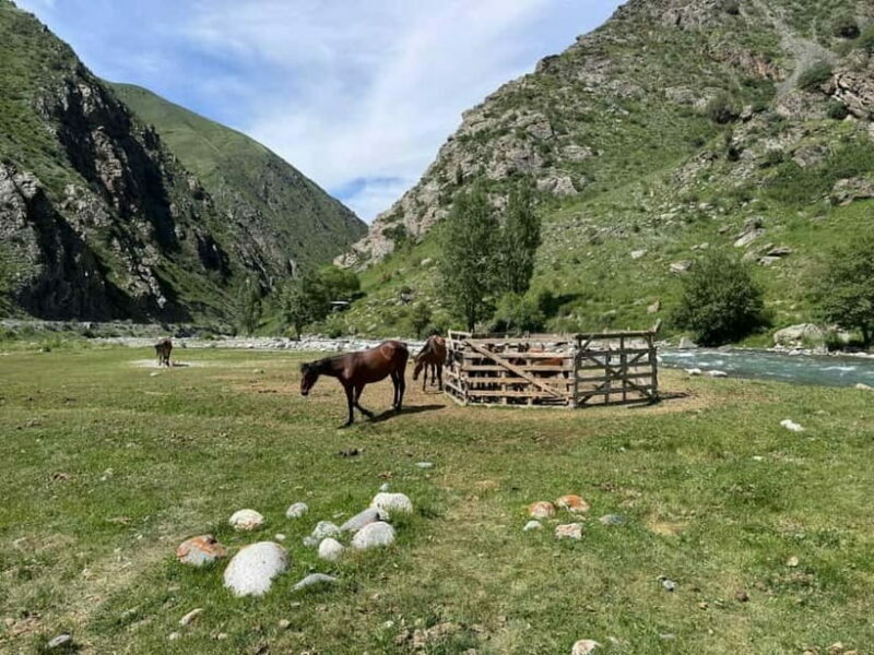 From Bishkek : Sokuluk Gorge & Belogorka Waterfall (One Day) - Final Thoughts: Who Will Love This Tour?