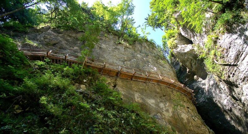 From Bled: Half-Day Pokljuka Gorge Trail Hike - Location and Duration
