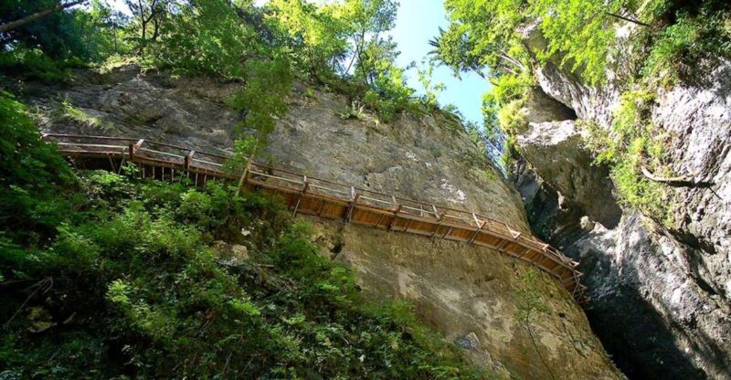 From Bled: Half-Day Pokljuka Gorge Trail Hike - Hiking Trail and Terrain