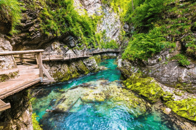 From Bled: Triglav National Park Day Trip - Frequently Asked Questions