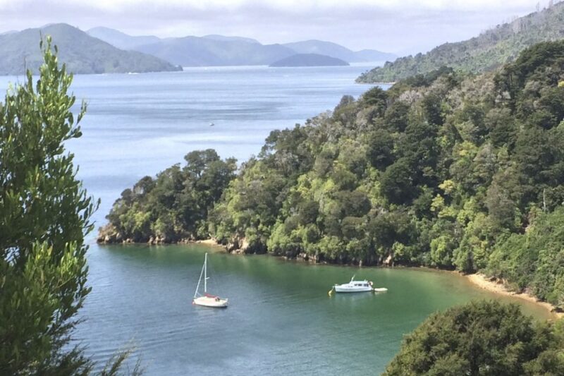 From Blenheim/Picton: Marlborough Gourmet Wine Tasting Tour - Itinerary and Experience