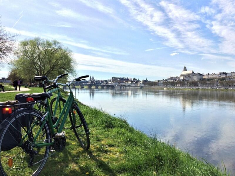 From Blois: Chaumont-sur-Loire, Nature, Wine And History - Accessibility and Exclusions