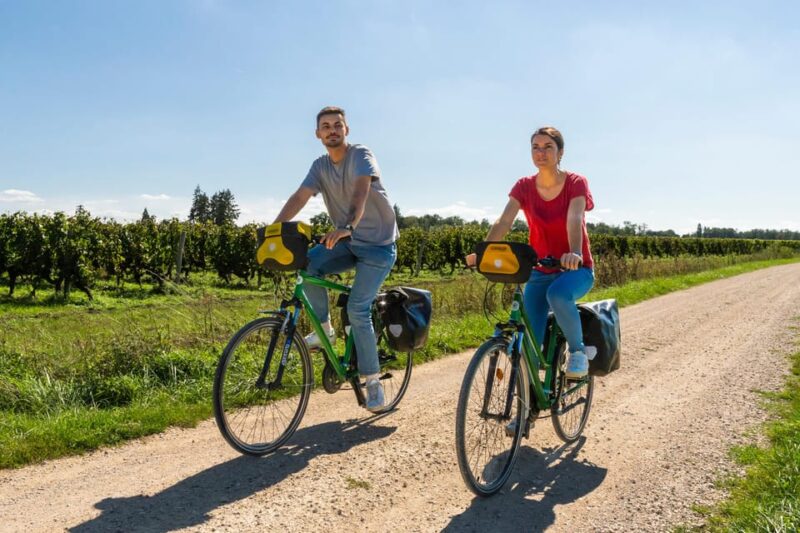 From Blois: Cheverny, Wine Tasting & Cycling - Overview and Pricing
