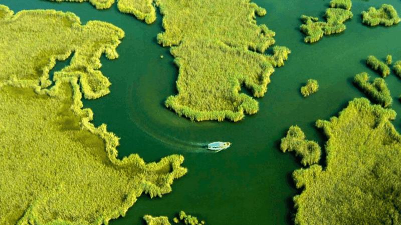 From Bodrum: Dalyan, Turtle Beach, and Mud Baths Day Trip - Key Points