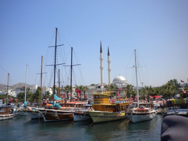 From Bodrum: Full-Day Boat Cruise - Key Points