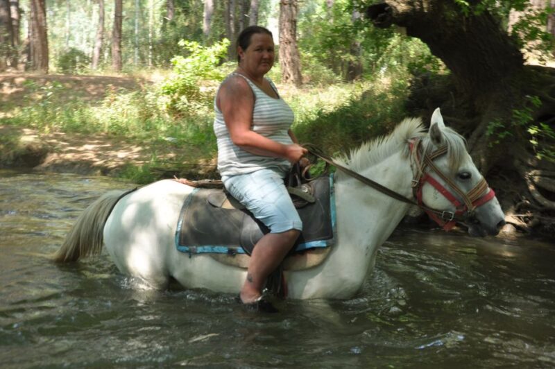 From Bodrum/Gümbet: Guided Horseback Riding Expereince - Inclusions