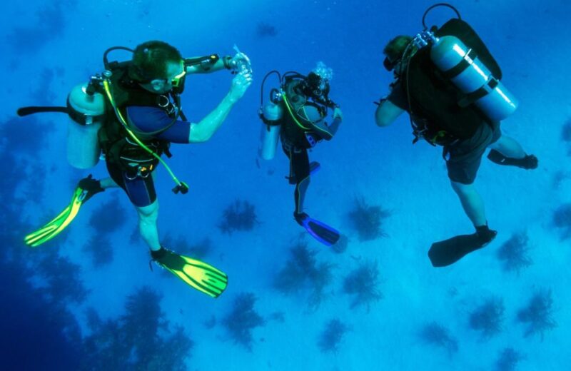From Bodrum: Scuba Diving in the Aegean Sea - Pricing and Booking Details