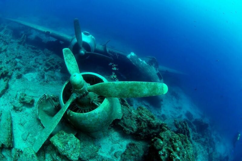 From Bodrum: Scuba Diving in the Aegean Sea - Included Services