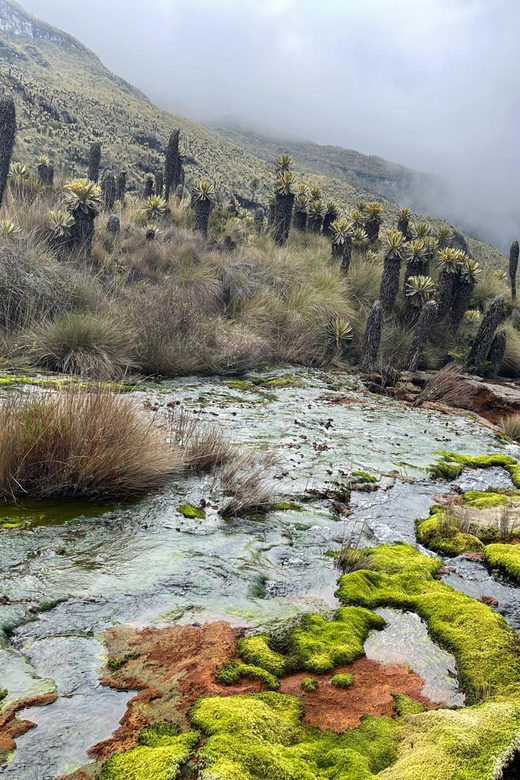 From Bogota: 4 Day - Hot Springs and Volcano Motorcycle Tour - Itinerary Highlights