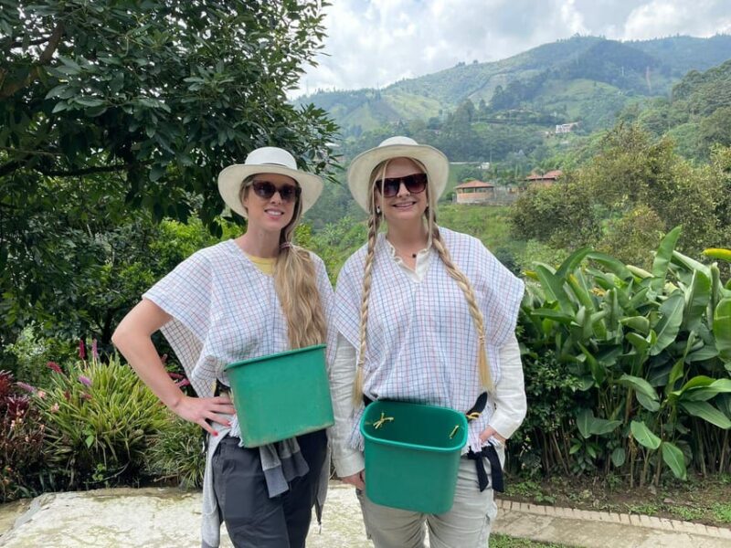 From Bogota: 5 Hour Guided Coffe Farm Tour - All Included - Key Points