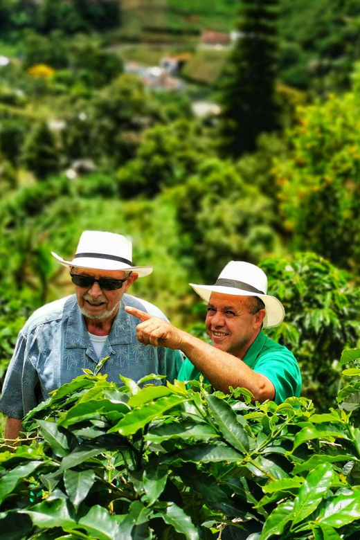 From Bogota: 5 Hour Guided Coffe Farm Tour - All Included - Tour Duration and Cancellation