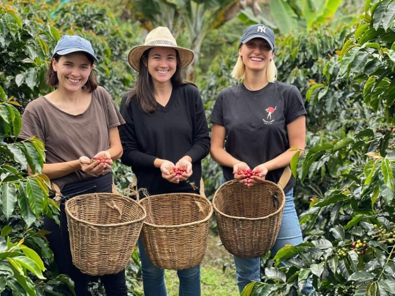 From Bogota: 5 Hour Guided Coffe Farm Tour - All Included - Customer Reviews and Ratings