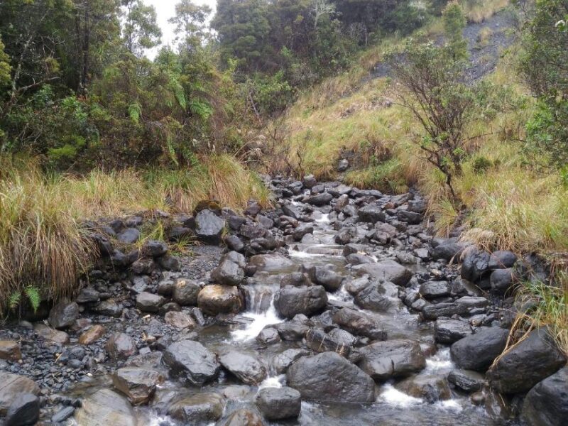 From Bogotá: Chingaza National Park Eco Tour - Key Points
