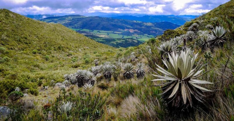 From Bogotá: Chingaza National Park Eco Tour - Itinerary and Experience