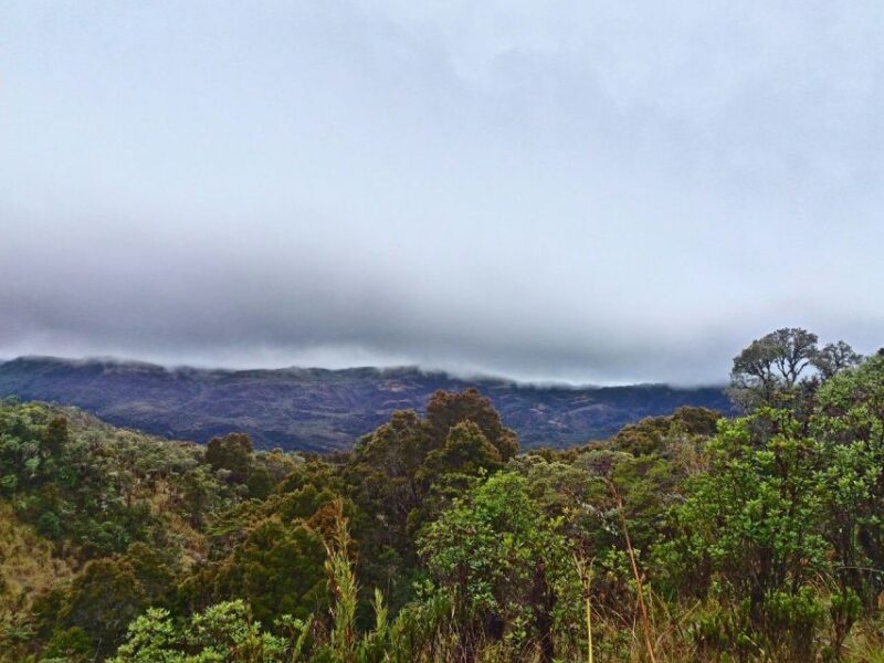 From Bogotá: Chingaza National Park Eco Tour - Customer Feedback