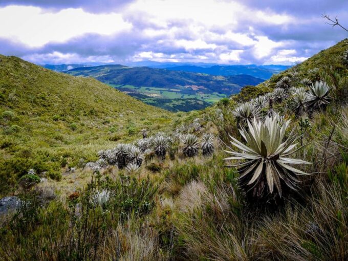 From Bogotá: Chingaza National Park Eco Tour - Recap