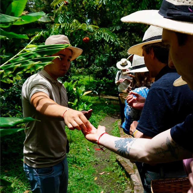 From Bogotá: Coffee Farm and Tequendama Falls Tour - Itinerary Highlights
