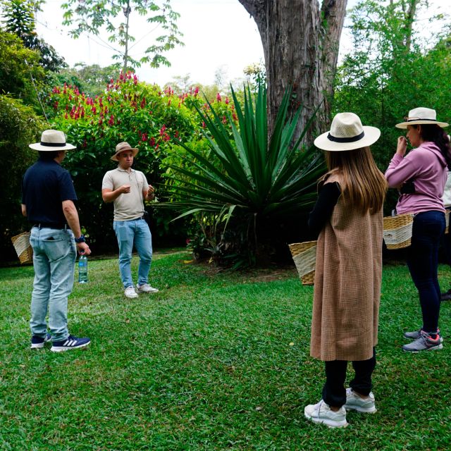 From Bogotá: Coffee Farm and Tequendama Falls Tour - Experience at the Coffee Farm