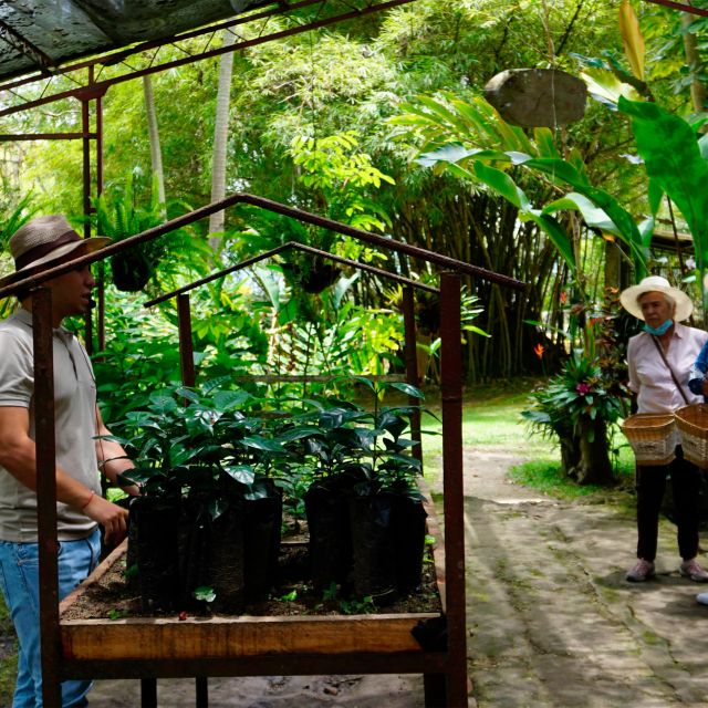 From Bogotá: Coffee Farm and Tequendama Falls Tour - Included in the Tour