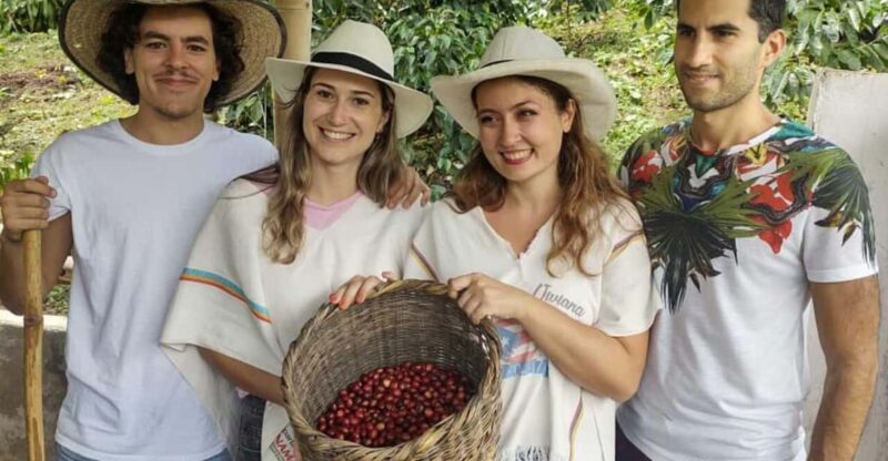 FROM BOGOTA: Coffee Tour in Choachí, An Authentic and Aromatic Adventure. - Exploring Coffee Plantations and Facilities