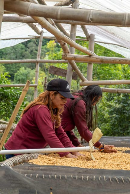 FROM BOGOTA: Coffee Tour in Choachí, An Authentic and Aromatic Adventure. - Coffee Tasting Workshop and Cupping