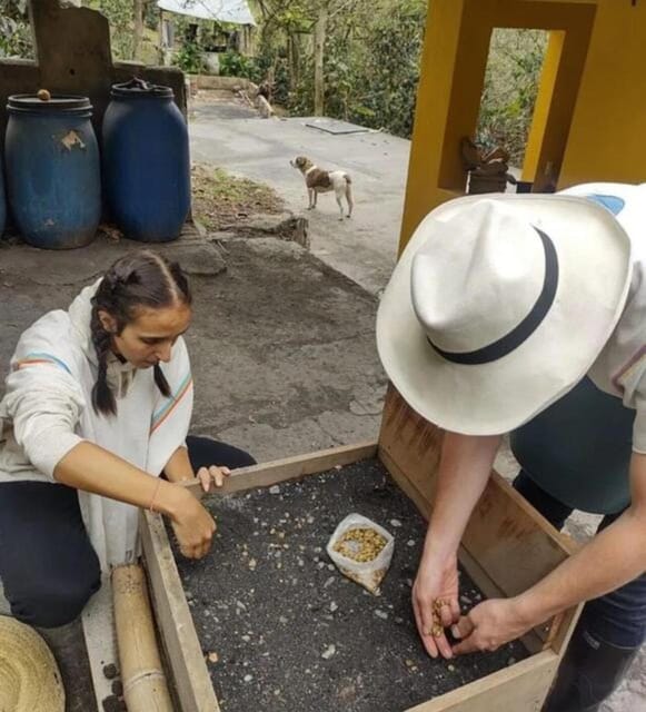 FROM BOGOTA: Coffee Tour in Choachí, An Authentic and Aromatic Adventure. - Discovering Sustainable Agricultural Practices