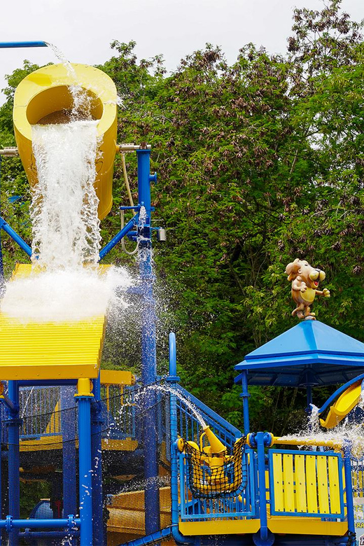 From Bogotá: Dive Into Fun at Piscilago Water Park! - On-site Conservation Zoo