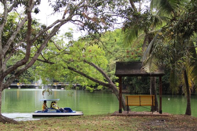 From Bogotá: Dive Into Fun at Piscilago Water Park! - Additional Inclusions
