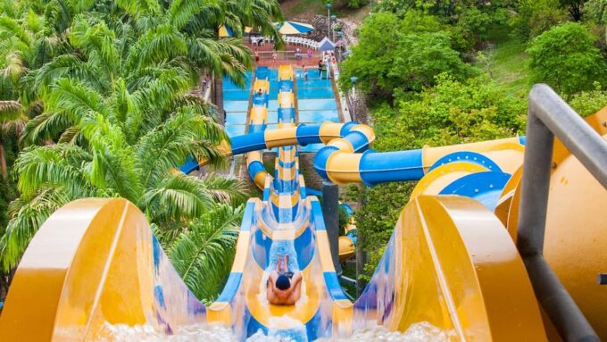 From Bogotá: Dive Into Fun at Piscilago Water Park! - Considerations and Recommendations