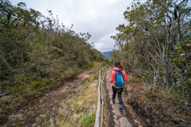 From Bogota: Explore the Town of Guatavita, the Lagoon, and the Casa Loca. - Key Points