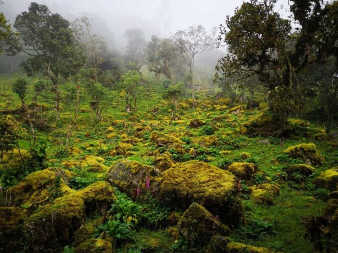 From Bogota: Hike to Colombias Highest Waterfall - Booking and Logistics