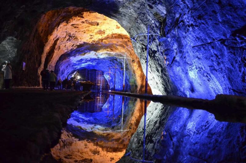 From Bogotá: Nemocón Salt Mines Tour and Andrés Carne De Res - Key Points