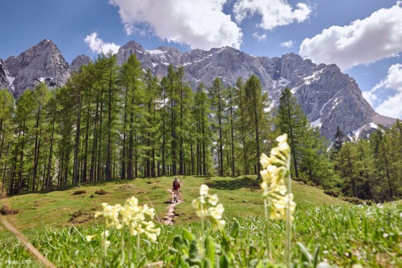 From Bohinj: Julian Alps and Kranjska Gora Day Trip - Itinerary Highlights