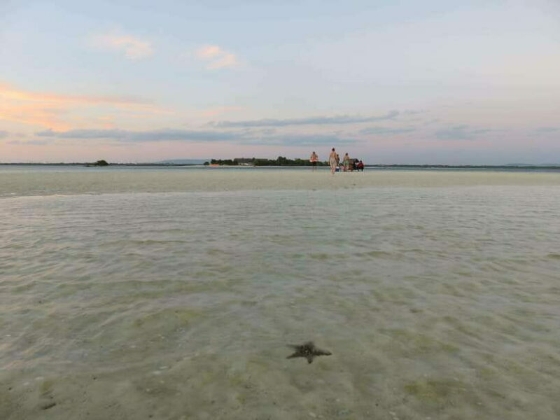 From Bohol: Island Sunset Watching and Snorkeling Tour - The Logistics: What You Need to Know