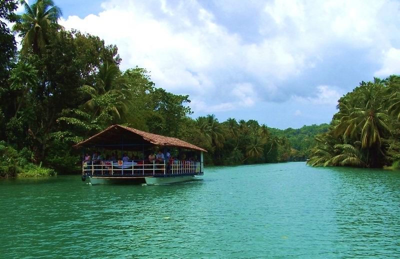 From Bohol & Panglao Island: Full-Day Bohol Tour - Key Points