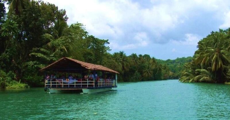 From Bohol & Panglao Island: Full-Day Bohol Tour - Highlights and Experiences