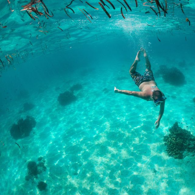 From Bohol: Virgin Island Sunset Tour - Important Information