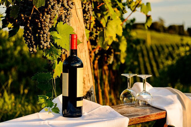 From Bologna: Chianti Wine Experience With Lunch - Key Points