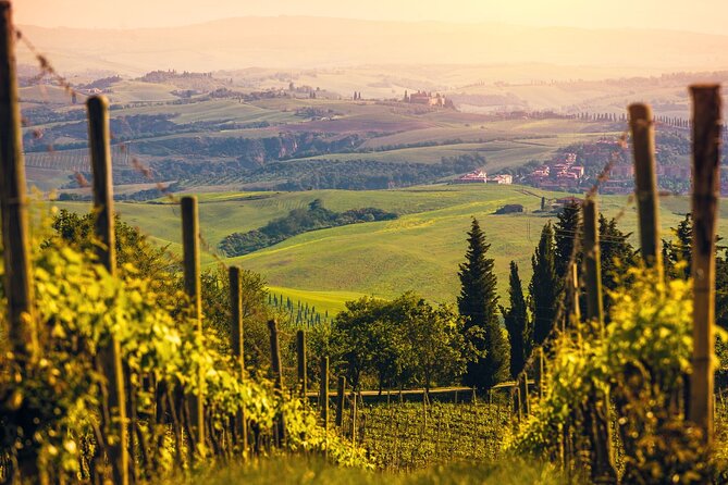 From Bologna: Chianti Wine Experience With Lunch - Company Background and Commitment