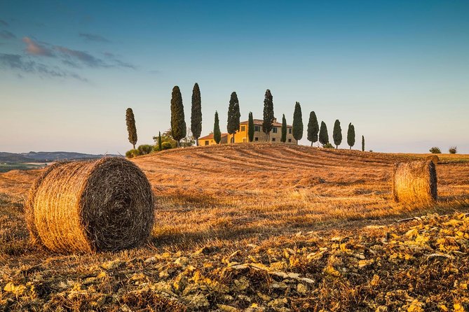 From Bologna: Chianti Wine Experience With Lunch - Group Size and Booking Options