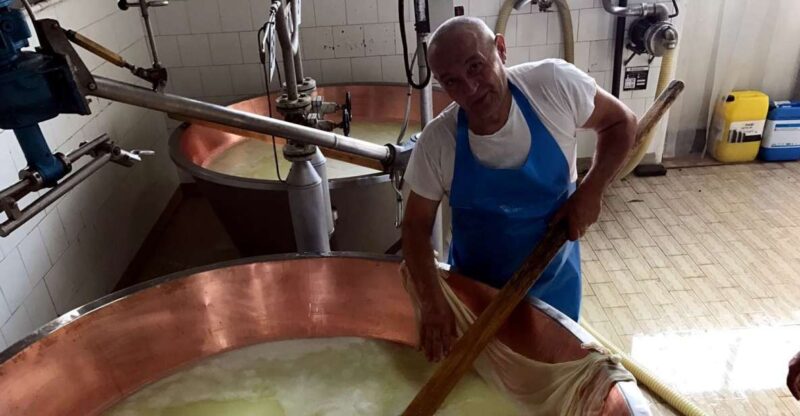 From Bologna: Emilia Excellence Food Tour - Tour Highlights