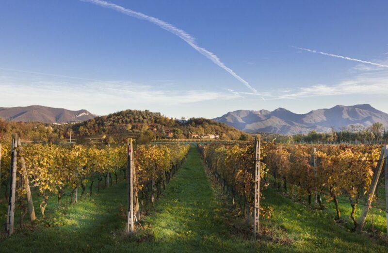 From Bologna: Franciacorta Lunch and Wine Tasting - Itinerary and Pickup Information