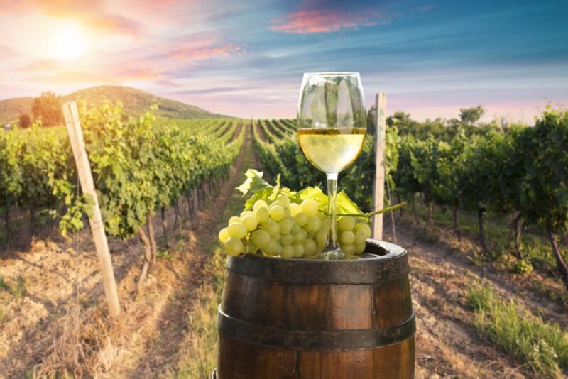 From Bologna: Franciacorta Lunch and Wine Tasting - First Winery Visit