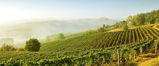 From Bologna or Modena: Chianti Experience With Lunch - Additional Information