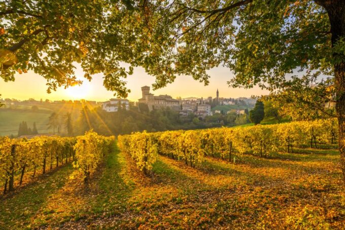 From Bologna or Modena: Chianti Experience With Lunch - Frequently Asked Questions