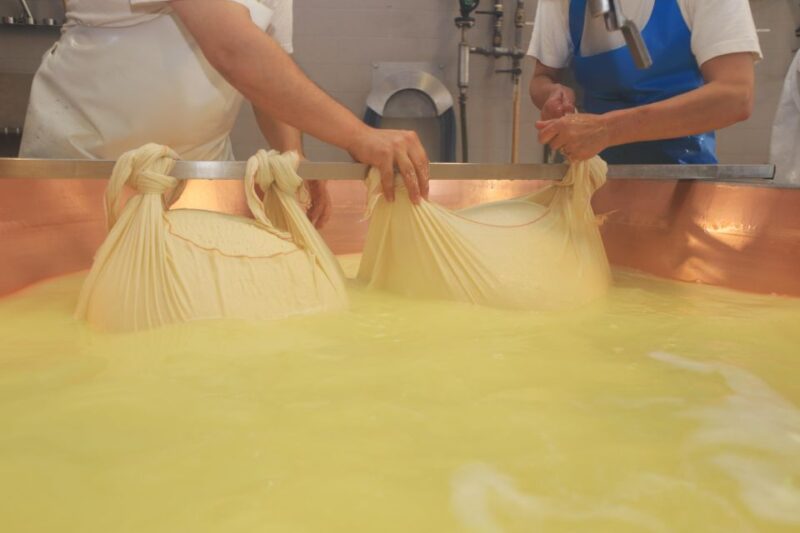 From Bologna: Parma Cheese & Ham Factory Tours and Tastings - Travel Logistics