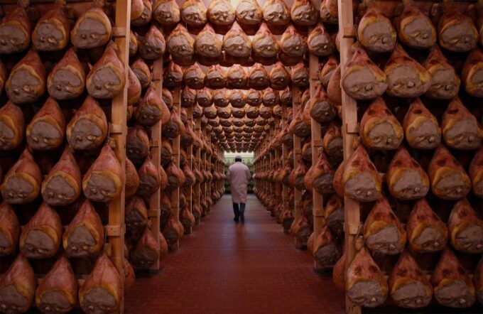 From Bologna: Parma Cheese & Ham Factory Tours and Tastings - Customer Feedback